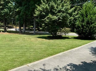 Kiyah L.'s Lawn Mowing service result