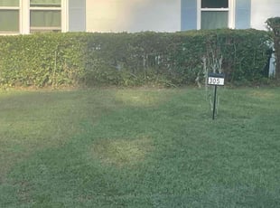 Bush Trimming by Devin Jones for Phyllis R. in Jacksonville, FL