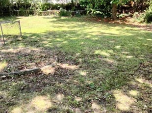 Cleanups by Tyreek Leacock for Alejandra N. in Virginia Beach, VA