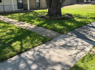 Lesley Q.'s Lawn Mowing service result
