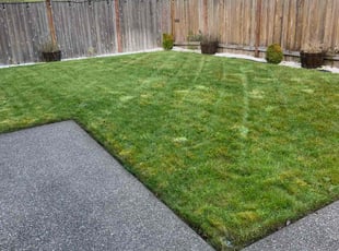 Becki R.'s Lawn Care service result