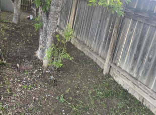 Leaf Removal by Erik de JesΓΊs Prado Sanchez for Jeremy I. in Georgetown, TX