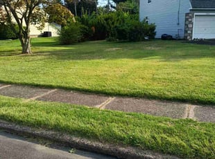 Sarah P.'s Lawn Service service result