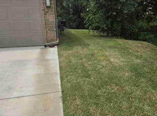 Mallory G.'s Lawn Mowing service result
