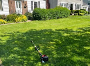RICHARD S. K.'s Lawn Mowing service result