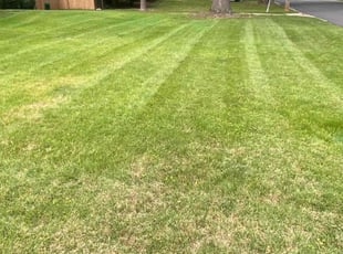 John L.'s Lawn Mowing Service service result