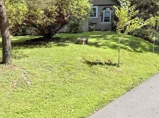Malcolm W.'s Yard Cutting service result
