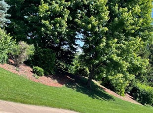 Harry H.'s Lawn Maintenance service result