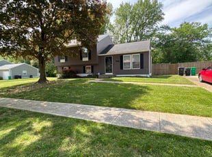 Louis M.'s Lawn Maintenance service result