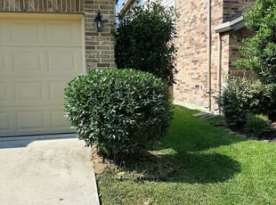 Bush Trimming by Eric Ramirez for Mark Q. in Houston, TX