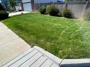 Colleen H.'s Lawn Care service result