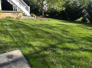 Lawan H.'s Lawn Mowing service result