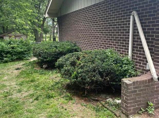Bush Trimming by Luay Hamdan for Yolanda M. in Orland Park, IL