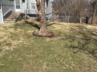 Cleanups by Tim Kirkpatrick for Brian L. in Shawnee, KS