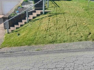 lan S.'s Lawn Care service result