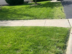 Susan S.'s Lawn Mowing Service service result