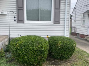 Bush Trimming by Scott Basinger for Theresa M. in Parma, OH