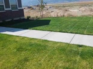Stori F.'s Yard Cutting service result