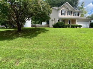 Camille H.'s Lawn Mowing service result