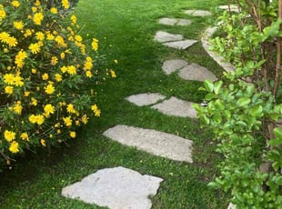 Patricia S.'s Grass Cutting service result