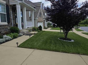 Andrea M.'s Grass Cutting service result