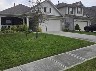 Scott W.'s Lawn Maintenance service result