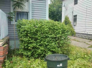 Bush Trimming by Anthony Coleman for Jennifer A. in Cleveland, OH