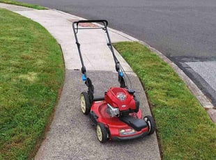 Alex L.'s Lawn Care service result
