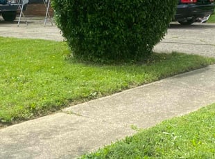 Bush Trimming by Buckeye Touch for Kristina H. in Columbus, OH