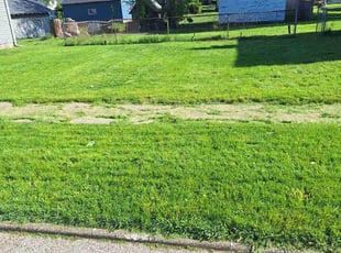 Robert H.'s Lawn Mowing service result