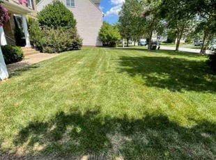 Satyam A.'s Lawn Service service result