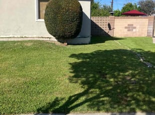 Jasmine M.'s Lawn Mowing service result
