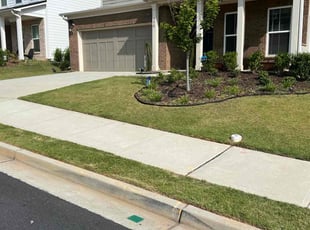 Juan C.'s Lawn Mowing service result