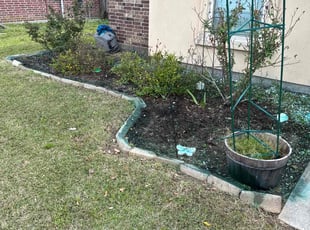 Weeding by Darynnette Roldan for George R. in Baton Rouge, LA