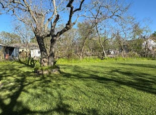 Susie P.'s Yard Cutting service result