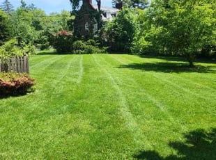 Donna B.'s Lawn Care service result