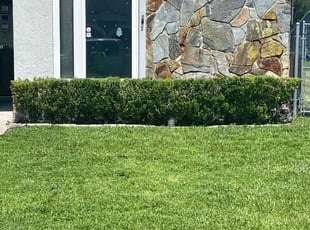 Bush Trimming by James Ramey for Jose D C. in Kissimmee, FL