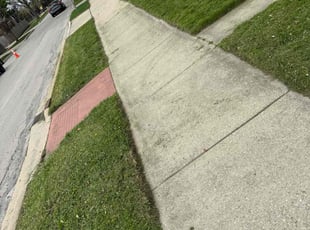 Tasha D.'s Grass Cutting service result