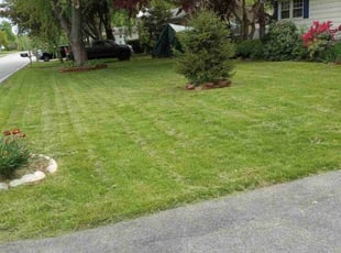 Hunter Q.'s Lawn Mowing service result