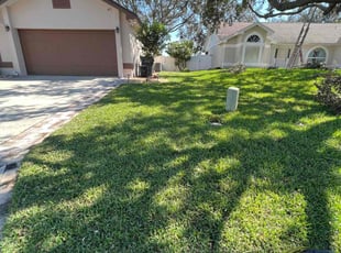 Joshua B.'s Lawn Mowing Service service result