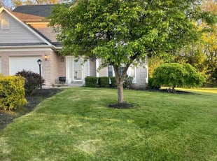 Cory G.'s Lawn Service service result