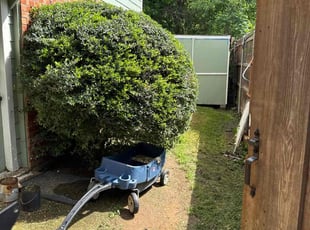Bush Trimming by Diaz Camerino for Linda D. in Flower Mound, TX