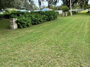 William C.'s Lawn Mowing Service service result