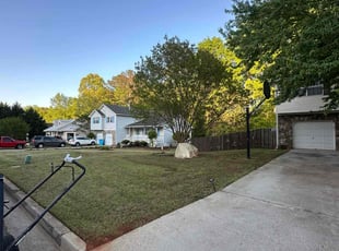 Rachelle I.'s Lawn Mowing service result