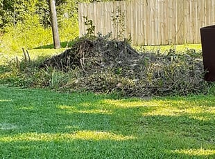 Bush Trimming by Leo Hollies for Moe B. in Zachary, LA