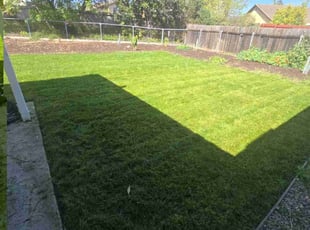 Sherl L.'s Lawn Service service result