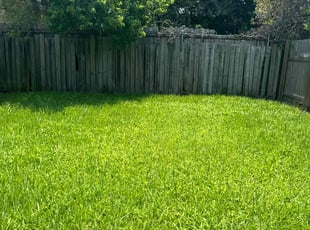 Anthony F.'s Lawn Mowing service result