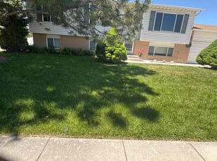 Greg T.'s Grass Cutting service result