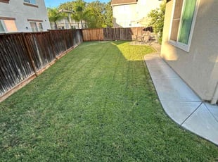 Carolyn b.'s Lawn Service service result