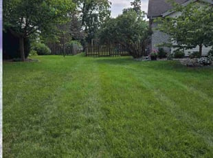 Letisha M.'s Lawn Care service result